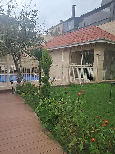 derel: SATILIR (YUKA). (Hündürlüyü 2m,3m,4m)- Ağaclar: tropik görünüşlü — 3