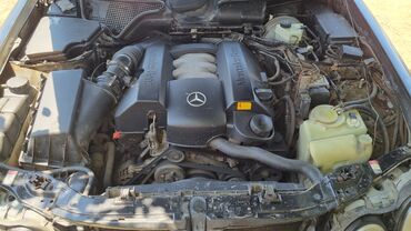 дополнительное освещение на авто: Бензиндик кыймылдаткыч Mercedes-Benz 2000 г., 2.4 л, Колдонулган, Оригинал, Германия