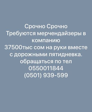 работа для студентов гибкий график: Требуется Мерчендайзер, График: Пятидневка, Стажировка, Карьерный рост
