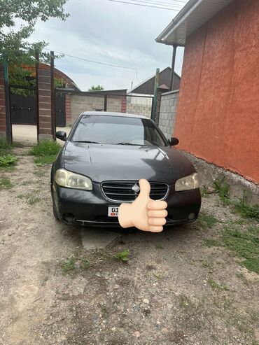 nissan 240: Nissan Maxima: 2000 г., 2 л, Автомат, Бензин, Седан