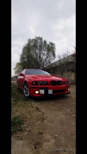 май жуаз: BMW 5 series: 1998 г., 2.8 л, Механика, Бензин, Седан