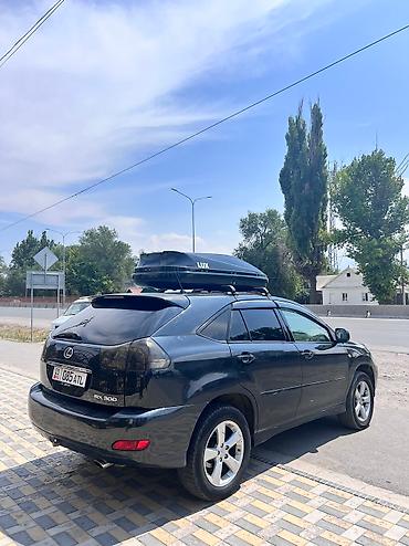 Lexus: Lexus RX: 2004 г., 3 л, Автомат, Бензин, Внедорожник — 2