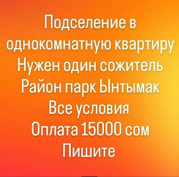 Долгосрочная аренда квартир: 1 комната, Собственник, С подселением, С мебелью полностью