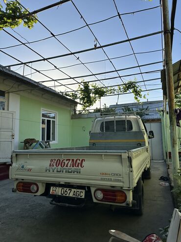Легкий грузовой транспорт: Легкий грузовик, Новый
