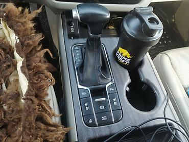 Kia: Kia Carnival: 2019 г., 2.2 л, Типтроник, Дизель, Минивэн — 2