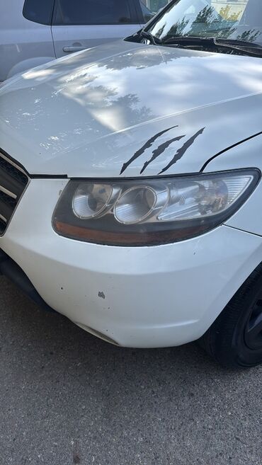 решетки на батареи: Передний, Hyundai Santafe, 2009 г., Самовывоз, Платная доставка