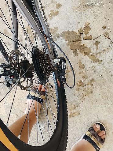 3 tekerli velosiped: Yeni Şəhər velosipedi Adidas, 26", sürətlərin sayı: 1, Ünvandan götürmə — 2