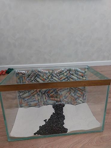 Akvariumlar: Çatdırılma tam pulsuzdu ölçü və dizaynında dəyişiklik etməy olar arxa — 30