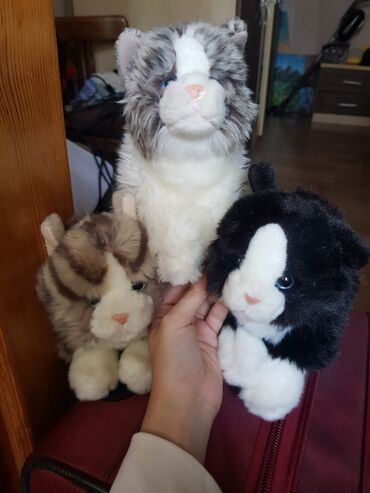 i̇ntertaktiv oyuncaq pişiklər: TEDDY HERMANN KOLLEKSİYON 3 PİŞİK PLUSHES!! ALMANİYADAN ALINMIŞ ƏN