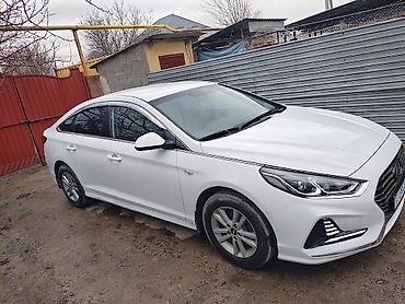Hyundai: Hyundai Sonata: 2019 г., 2 л, Автомат, Газ, Седан — 4