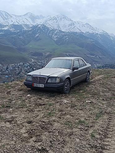 w124 e220: Mercedes-Benz W124: 1992 г., 2.5 л, Механика, Дизель, Седан — 7
