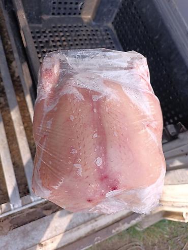 Курица: 🔥 Продаю фермерских бройлерных кур (охлажденка+замороженные тушки) 🔥 💰 — 9