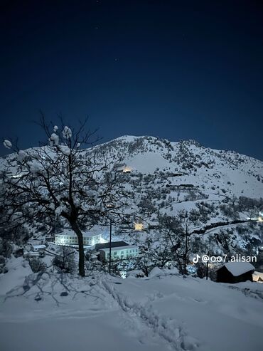 Günlük kirayə evlər: 120 kv. m, 5 otaqlı, Artezian quyusu, İnternet, Telefon -da lalafo.az — 6 Günlük kirayə evlər: 120 kv. m, 5 otaqlı, Artezian quyusu, İnternet, Telefon — 6