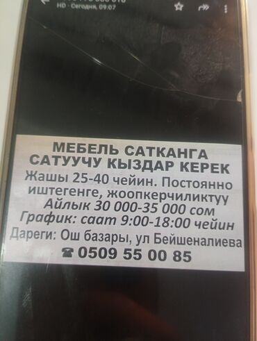 гостиница кызыл аскер: Продавец-консультант