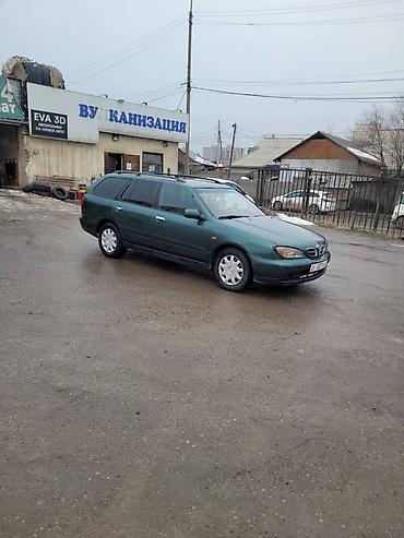 crv 2: Nissan Primera: 2000 г., Механика, Универсал — 3