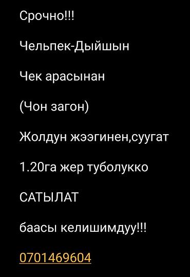 земля поле: 1200 соток — 1