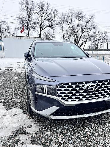 Hyundai: Hyundai Santa Fe: 2020 г., 2.2 л, Автомат, Дизель, Кроссовер — 6