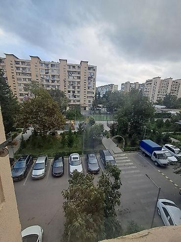 polad həsimov kucəsi: İmam rza mecidin 2 ci qapisi ilə üzbə üz 9 mertebeli bina ancaq — 8