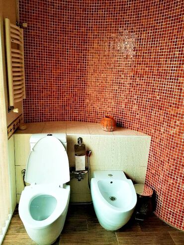 Günlük kirayə evlər: 750 kv. m, 7 otaqlı, Telefon, Kanalizasiya, Qaz — 13