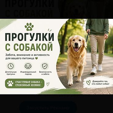 выгул: ПРОГУЛКИ С СОБАКОЙ Забота, внимание и активность для вашего питомца — 1