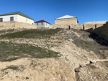 Tikinti