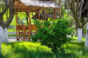 Kommersiya daşınmaz əmlakının satışı: Dəniz kənarında dəniz mənzərəli, çimərliyi olan restoran satılır -da lalafo.az — 7 Kommersiya daşınmaz əmlakının satışı: Dəniz kənarında dəniz mənzərəli, çimərliyi olan restoran satılır — 7