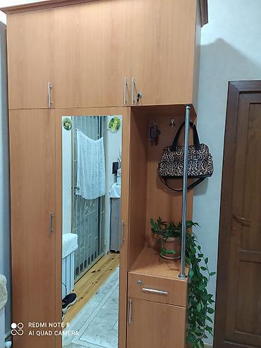 kicik skaf: Dəhliz üçün çoxfunksiyalı şkaf-divar sistemi - Material: ağac — 1