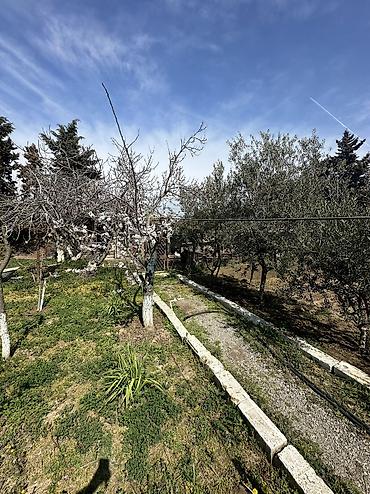 goradil: 12 sot, Tikinti, Maklerlər narahat etməsin, Texniki pasport — 10