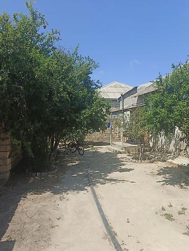 binə emlak: Kupça (Çıxarış) — 1