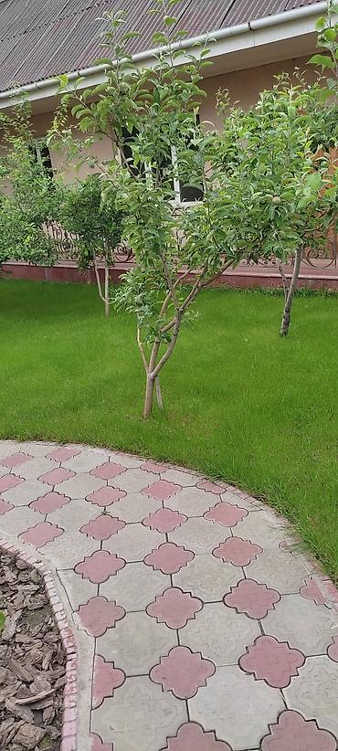 green city: Газон # Автополив # Полив # Ландшафтный дизайн озеленение территории — 4