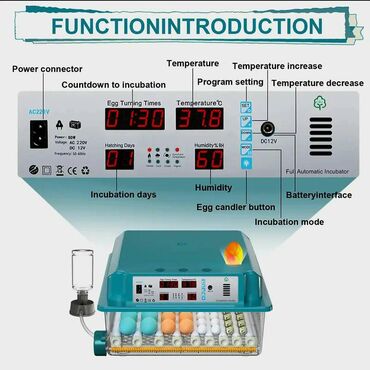 İnkubatorlar: Yeni satışda 64 yumurtalıq inkubator. Fotolar ona aiddir. Tam -da lalafo.az — 5 İnkubatorlar: Yeni satışda 64 yumurtalıq inkubator. Fotolar ona aiddir. Tam — 5