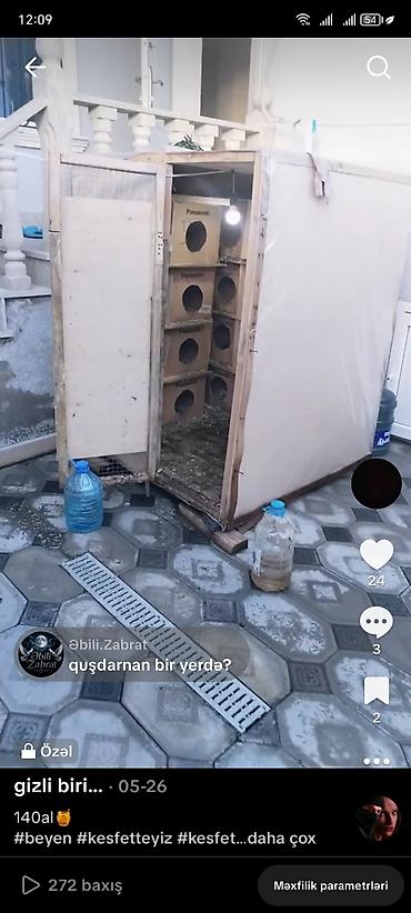 göyərçin yuvaları: Göyərçin yuvası satılır hündürlüyü 1.50 eni 1.30 uzunu 1. 50 Hər yani — 2