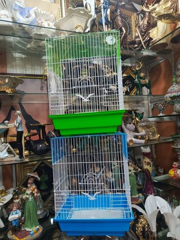 Qəfəslər: Təzə Qəfəslər 9azn boş qəfəslər Valnisti Tutuquşu Qəfəsi 9azn Amadin — 6