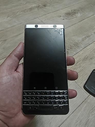 Ежевика: Ежевика Q10, Б/у — 6