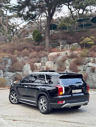 Hyundai: Hyundai Palisade: 2020 г., 2.2 л, Дизель — 4