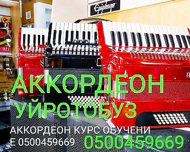 Курс обучения игре на аккордеоне. - Уроки на клавишном аккордеоне с