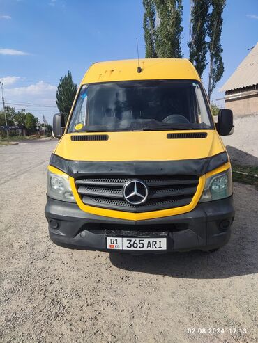 селкирк рекс: Легкий грузовик, Mercedes-Benz, Стандарт, 3 т, Б/у