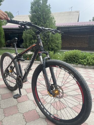 электро велик бишкек цена: Тоо велосипеди, Велосипед алкагы XL (180 - 195 см), Болот, Колдонулган