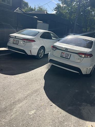 тойота соролла: Toyota Levin: 2021 г., Вариатор, Бензин, Седан — 4