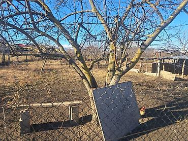 Həyət evləri və villaların satışı: Qubada, Iqriq kəndində həyət evi - Torpaq sahəsi: 5 sot - Plan: 2 — 5