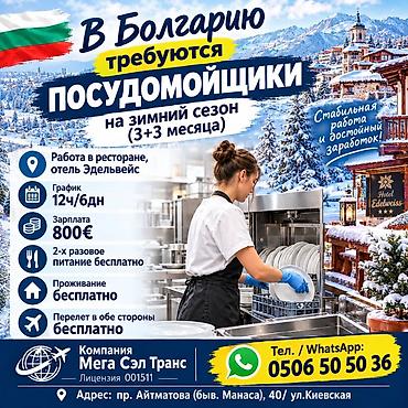 Талап кылынат Идиш жуучу, Төлөм: Ай сайын