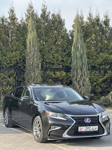 Частная аренда авто: GORENT AVTOPROKAT АВТО ПРОКАТ 24/7 ВСЕ МАШИНЫ ЗАСТРАХОВАНЫ КАСКО И — 10