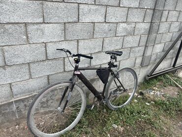 триды полик: Городской велосипед на 28" колесах - Рама: стальная, классическая