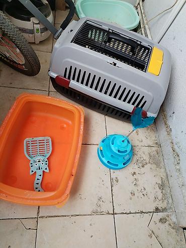 аквариум без рыб: Pişik üçün aksesuarlar dəsti - Daşınma çantası/kennel: sərt plastik — 1