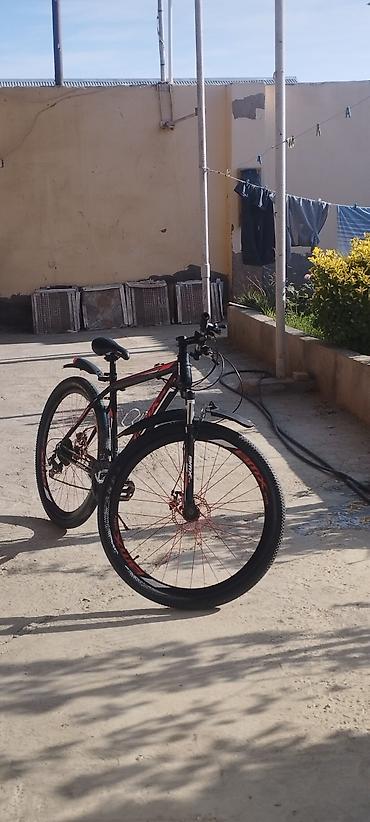 olimpia velosiped: Şəhər və yüngül off-road üçün universal dağ velosipedi. REAL ALICIYA — 3
