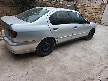 afdamabiler: Nissan Primera: 1.6 l | 1999 il Sedan — 5