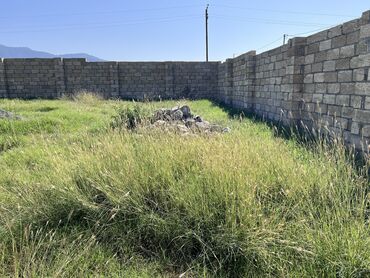 berdede torpaq: 6 sot, Tikinti, Maklerlər narahat etməsin, Kupça (Çıxarış)