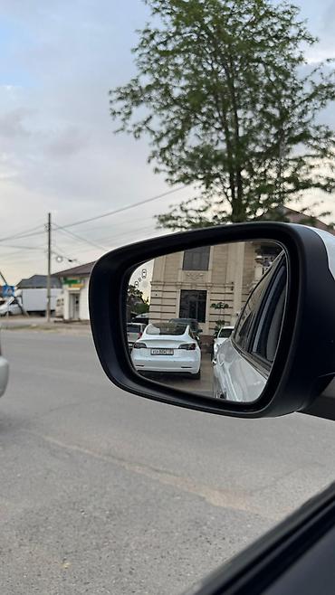 дама в канте: Renault Koleos: 2019 г., 2 л, Автомат, Бензин, Кроссовер — 8