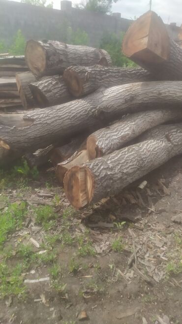 дерево дрова: Дрова Самовывоз