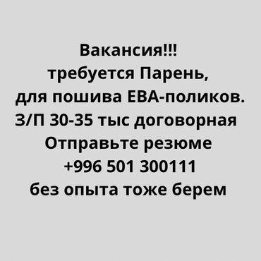 Чехлы и накидки на сиденья: Требуется Детейлер Оклад, Без опыта, Официальное трудоустройство